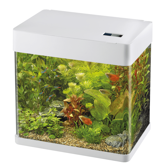 SuperFish Panorama 20 LED White — компактный панорамный аквариум 20л с LED