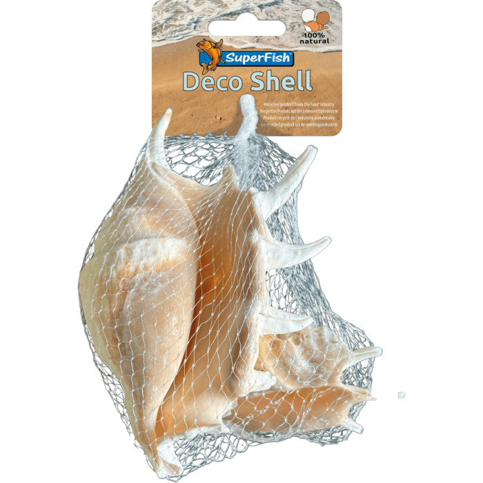 Декоративні мушлі SF DECO SHELL SPIDER 150 GRAM (A4080435)