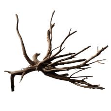 Павутинне дерево BLACK SPIDER WOOD MEDIUM (A4080385)