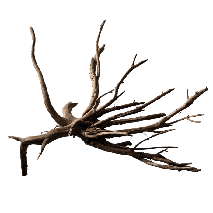 Павутинне дерево BLACK SPIDER WOOD MEDIUM (A4080385)