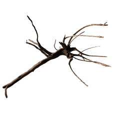 Павутинне дерево BLACK SPIDER WOOD X-LARGE (A4080395)