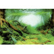 Задній фон для акваріума SF DECO POSTER C2 60X49 CM (A4072070)