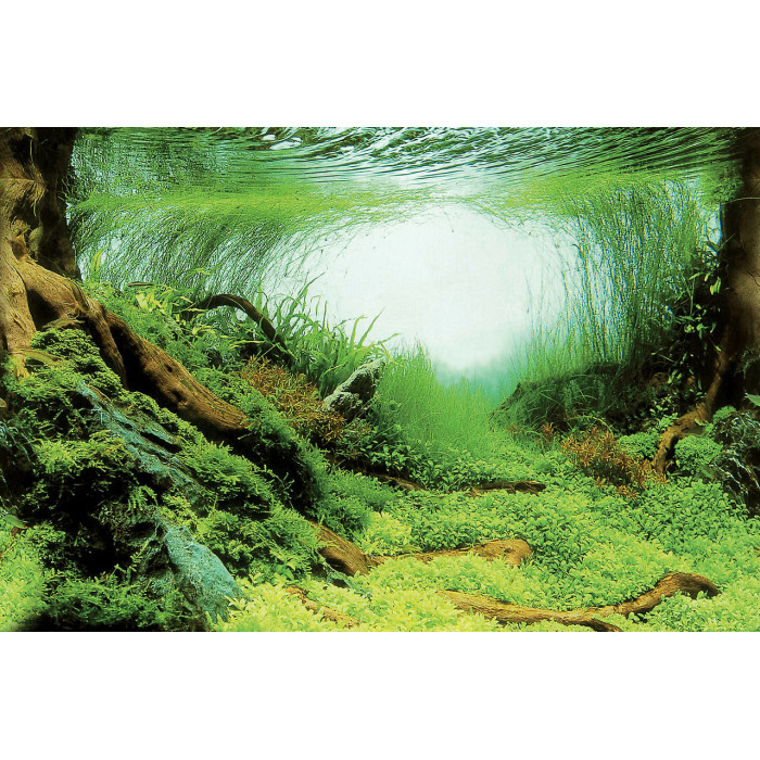 Задній фон для акваріума SF DECO POSTER C4 120X49 CM (A4072080)