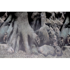 Задній фон для акваріума SF DECO POSTER D3 100X49 CM (A4072105)