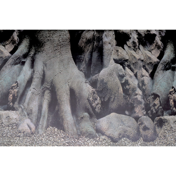 Задній фон для акваріума SF DECO POSTER D4 120X49 CM (A4072110)