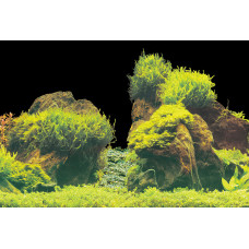 Задній фон для акваріума SF DECO POSTER E5 120X61 CM (A4072145)