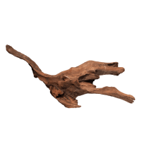 Мангрове дерево MANGROVE AGED WOOD MEDIUM (A4080340)