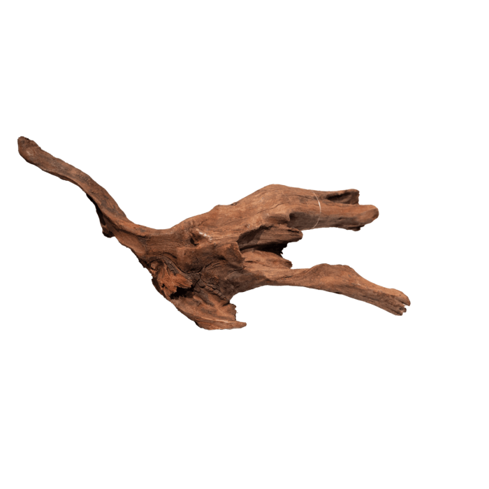 Мангрове дерево MANGROVE AGED WOOD MEDIUM (A4080340)