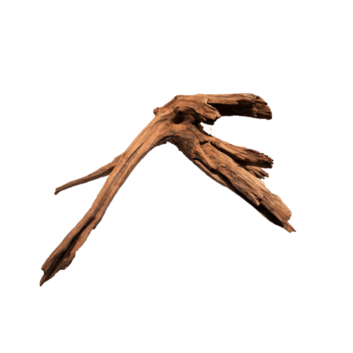 Мангрове дерево MANGROVE AGED WOOD LARGE (A4080345)