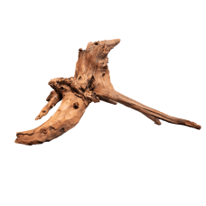 Мангрове дерево MANGROVE AGED WOOD X LARGE (A4080350)