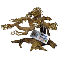 Дерево бонсай BONSAI DRIFTWOOD S (A4080100)