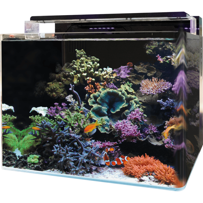 BM REEF 120 AQUARIUM (N4055360) морський акваріумний комплект