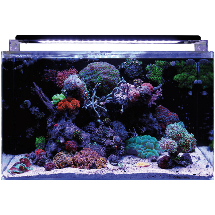 BM REEF 160 AQUARIUM (N4055505) морський акваріумний комплект