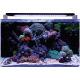 BM REEF 160 AQUARIUM (N4055505) морський акваріумний комплект