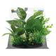 Штучна рослина для акваріума SF DECO PLANT S NR 5 (A4070611)