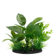 Штучна рослина для акваріума SF DECO PLANT S NR 5 (A4070611)