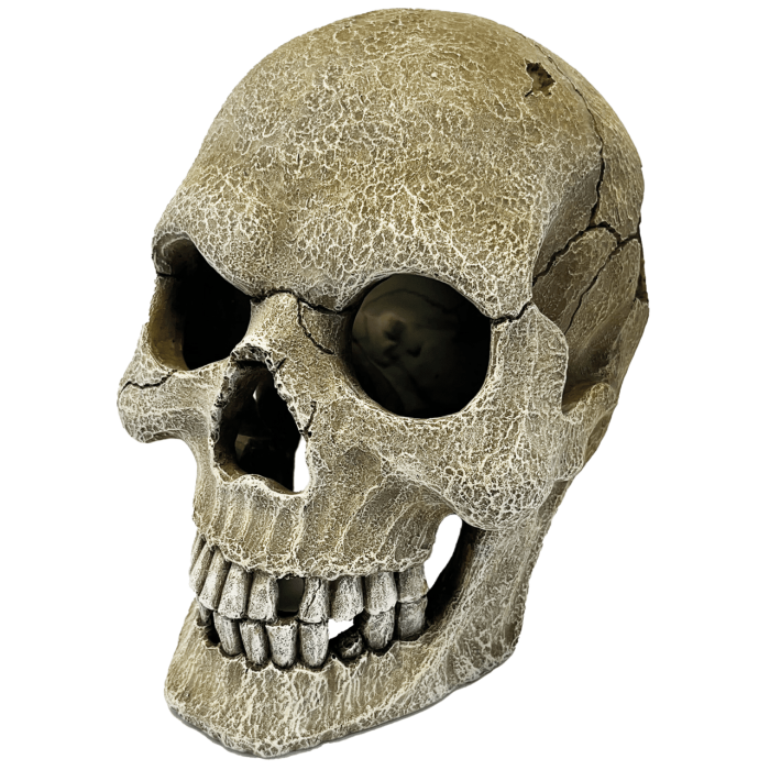 Декорація для акваріума REPTO DECO HUMAN SKULL XL (R5100160)