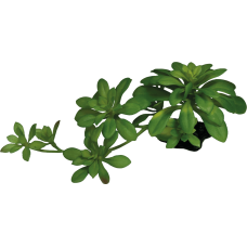 REPTO PLANT SUCCULENT GREEN XL (R5100635) Штучна рослина для тераріума