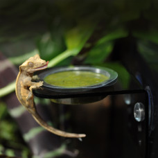 HABISTAT ARBOREAL FEEDING LEDGE SINGLE (R3100025) годівничка/поїлка для рептилій