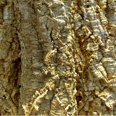 Декорація для акваріума HABISTAT CORK BARK 1KG (R5100210)