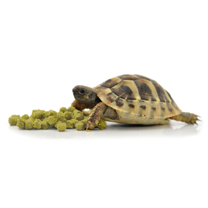 HABISTAT TORTOISE FOOD BANANA 400G (R8100020) корм для сухопутних черепах (різні смаки)