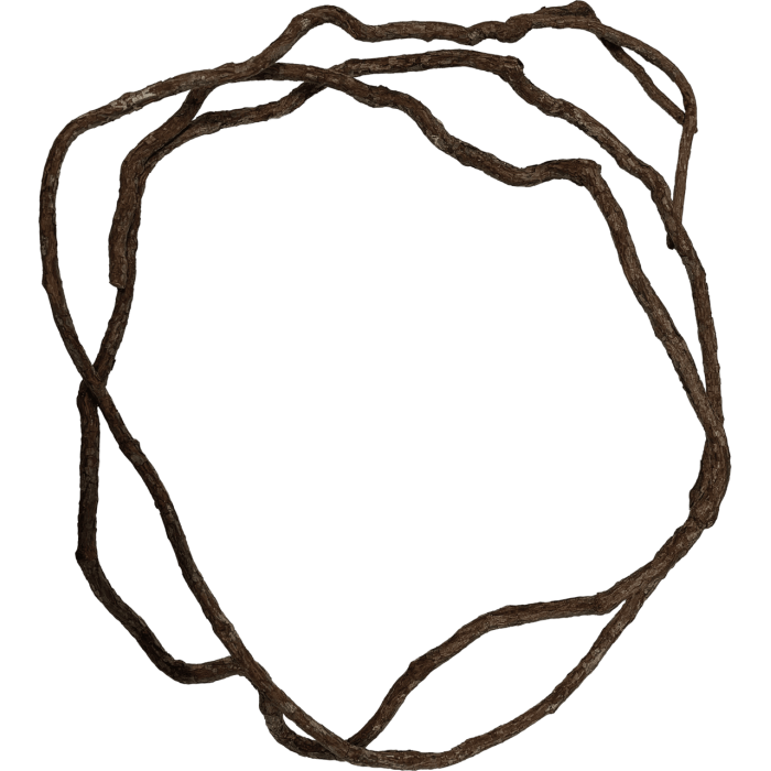 Декорація REPTO TREE VINE 300 CM (R5100285) ліана натуральна