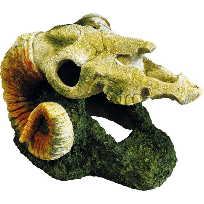 Декорація REPTO DECO GOAT SKULL (R5100395)