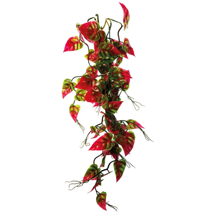 REPTO PLANT VINES PINK/GREEN SYNGONIUM 60 CM (R5100665) Штучна рослина для тераріума
