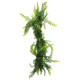 REPTO PLANT VINES GREEN ASPARAGUS 60 CM (R5100675) Штучна рослина для тераріума