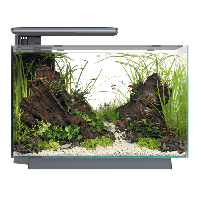 Купити SuperFish Quadro 70 Pro Black — стильний акваріум 70 л з LED і фільтром