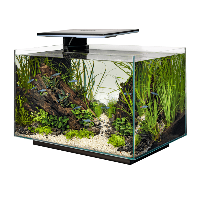 Купити SuperFish Quadro 70 Pro Black — стильний акваріум 70 л з LED і фільтром