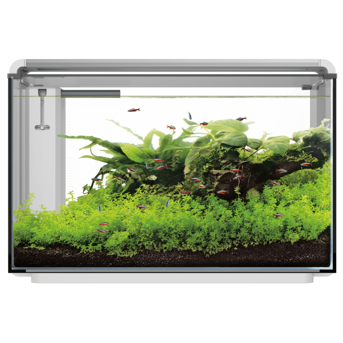 Купити SuperFish Home ProLED 85 White — преміум акваріум 85 л з LED та фільтром