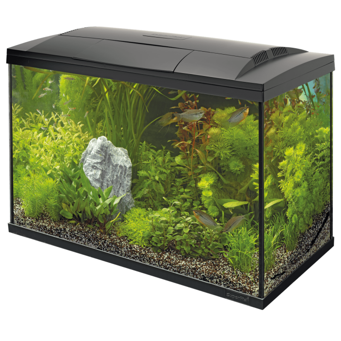 Купити SuperFish Start 150 Black — акваріумний стартовий набір 150 л для дому та офісу