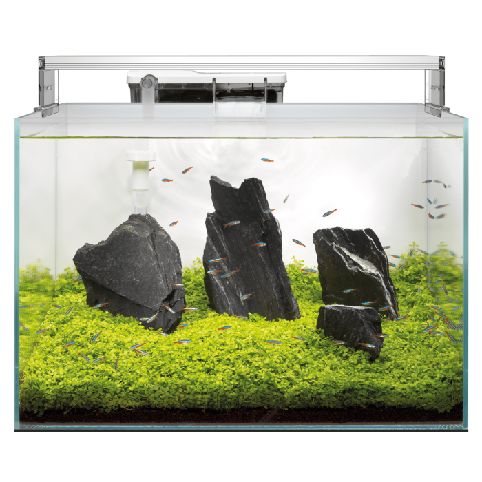 Купити SuperFish Scaper 90 — професійний акваріумний набір 90 л для травника