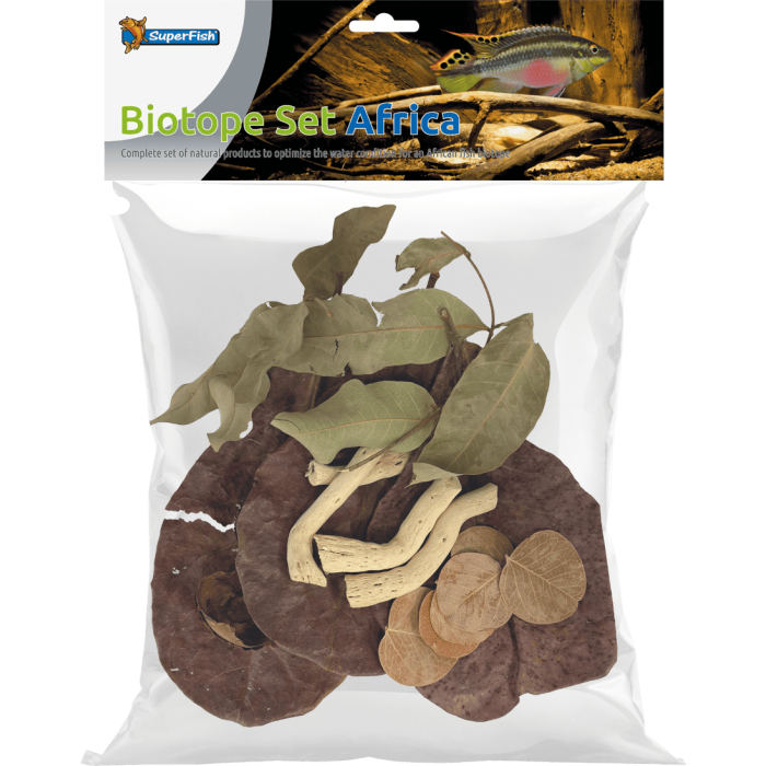 Купить листья катаппы BIOTOPE SET AFRICA — для аквариумного биотопа Африки.